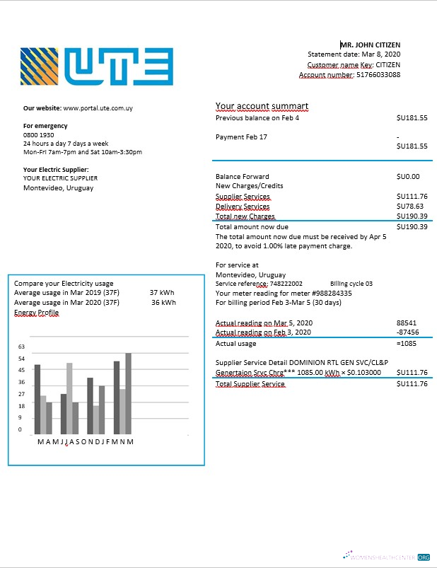 download download Uruguay UTE electricity bill in Word format
